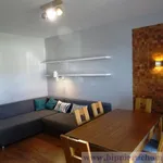 Rent 2 bedroom apartment of 56 m² in Wrocław