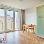 Rent 3 bedroom apartment in České Budějovice