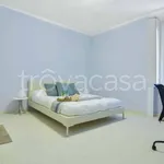 Rent 2 bedroom apartment of 50 m² in Milano