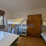 Rent 5 bedroom house of 150 m² in City of Zagreb