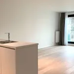 Rent 3 bedroom apartment of 110 m² in brussels