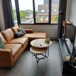 Rent 2 bedroom apartment of 41 m² in Centrum