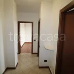 Rent 3 bedroom apartment of 82 m² in Albiate