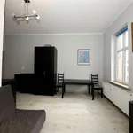 Rent 1 bedroom apartment of 30 m² in Katowice