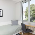 Rent a room in brussels