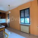 Rent 4 bedroom apartment of 90 m² in Torino