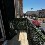 Rent 2 bedroom apartment of 50 m² in Nettuno