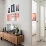 Rent 1 bedroom apartment in Bologna