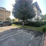 Rent 3 bedroom apartment of 80 m² in Viareggio