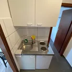 Miete 1 Schlafzimmer wohnung von 24 m² in Mannheim