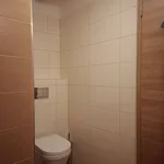 Pronajměte si 1 ložnic/e byt o rozloze 35 m² v Prague