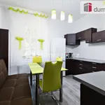 Rent 1 bedroom apartment in Cheb