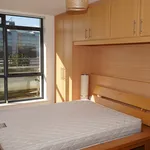 Rent 1 bedroom apartment in Dublin