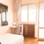 Rent 2 bedroom apartment of 90 m² in rome