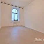 Rent 3 bedroom apartment of 119 m² in Brno