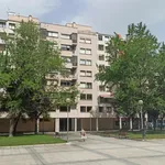 Alquilo 3 dormitorio apartamento de 88 m² en Pamplona