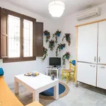 Rent 1 bedroom apartment in granada