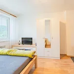 Pronájem bytu 1+1, 34 m²