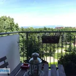 Rent 1 bedroom apartment of 40 m² in Monza