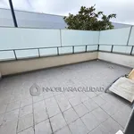 Rent 1 bedroom apartment of 55 m² in Madrid