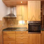 Rent 3 bedroom apartment of 97 m² in Capital City of Prague