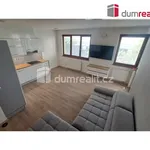 Rent 3 bedroom apartment of 72 m² in Praha