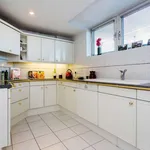 Rent 1 bedroom apartment in london