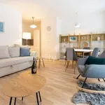 Rent 1 bedroom apartment of 33 m² in Liberec