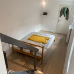 Rent 1 bedroom apartment in Leuven