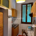 Rent 3 bedroom apartment of 60 m² in Siena