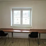 Rent 1 bedroom apartment of 30 m² in Brno