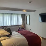 Rent 1 bedroom flat in Belfast