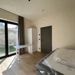 Rent 1 bedroom apartment in Leuven