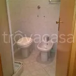 Rent 1 bedroom apartment of 20 m² in Roma