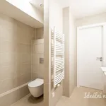 Pronajměte si 3 ložnic/e byt o rozloze 65 m² v Prague