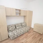 Rent 1 bedroom apartment of 20 m² in Timișoara