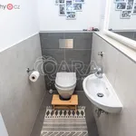 Rent 3 bedroom apartment of 87 m² in Trhový Štěpánov