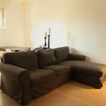 Rent 1 bedroom apartment of 60 m² in milan