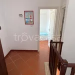 Rent 4 bedroom apartment of 95 m² in Peschici