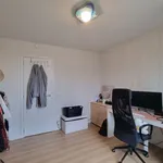 Rent 3 bedroom apartment in Zedelgem