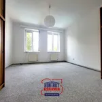 Rent 2 bedroom apartment of 42 m² in České Budějovice