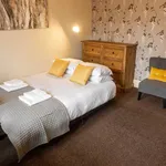 Rent 1 bedroom apartment in Dundee