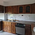 Rent 3 bedroom apartment of 100 m² in Modena