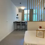 Rent 1 bedroom apartment of 30 m² in madrid