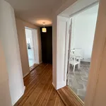 Rent 3 bedroom apartment of 76 m² in Berlin