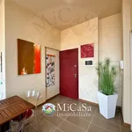 Rent 2 bedroom apartment of 55 m² in Pisa