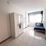 Rent 9 bedroom apartment in Trento