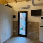 Rent 1 bedroom apartment in Bologna