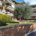 Rent 1 bedroom apartment of 40 m² in Roma