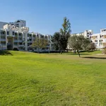 Rent 1 bedroom apartment in Setúbal